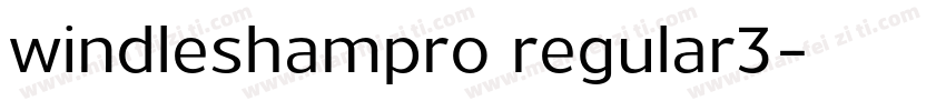 windleshampro regular3字体转换